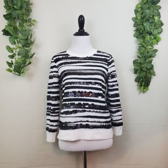 Ann Taylor Sequin Zebra Jacquard Pullover Sweater Blouse Small Stripe Long Sleev - Picture 1 of 10